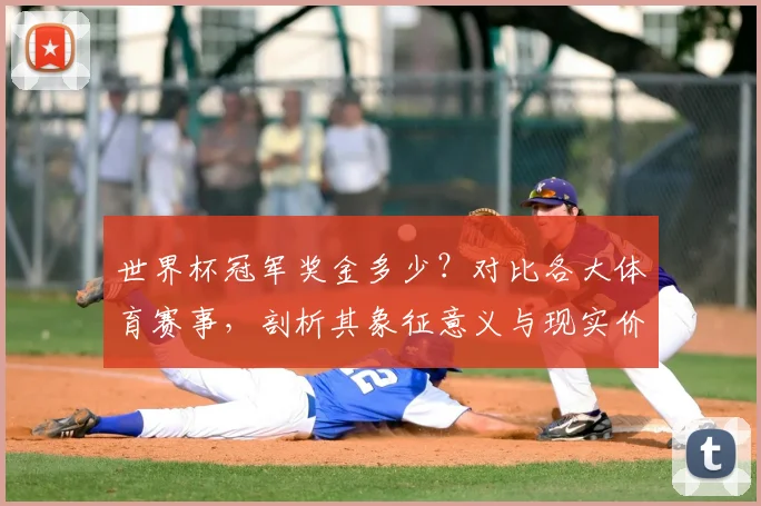 世界杯冠军奖金多少?对比各大体育赛事,剖析其象征意义与现实价值