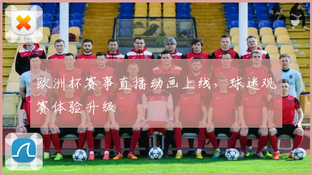 欧洲杯赛事直播动画上线,球迷观赛体验升级
