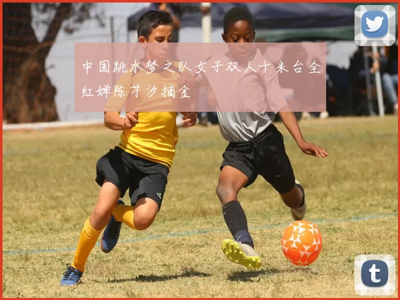 中国跳水梦之队女子双人十米台全红婵陈芋汐摘金