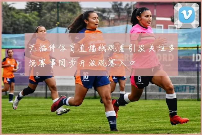 无插件体育直播线观看引发关注多场赛事同步开放观赛入口