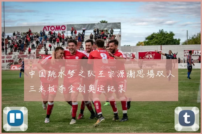 中国跳水梦之队王宗源谢思埸双人三米板夺金创奥运纪录
