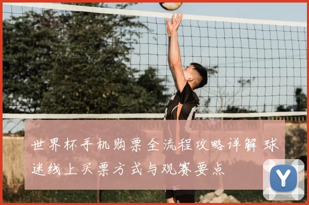 世界杯手机购票全流程攻略详解 球迷线上买票方式与观赛要点