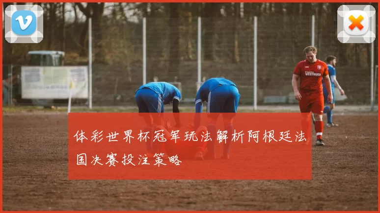 体彩世界杯冠军玩法解析阿根廷法国决赛投注策略