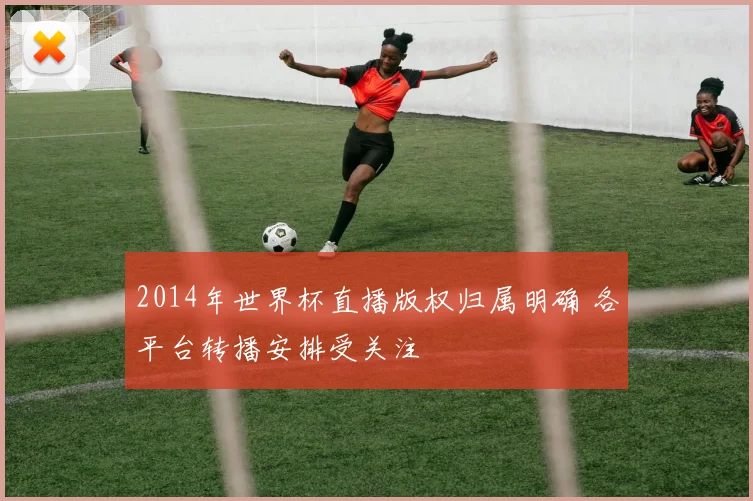2014年世界杯直播版权归属明确 各平台转播安排受关注