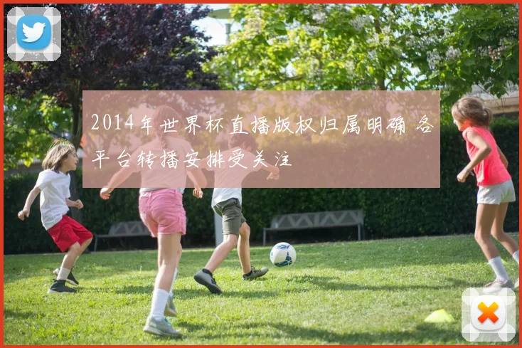 2014年世界杯直播版权归属明确 各平台转播安排受关注