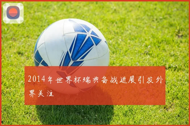 2014年世界杯瑞典备战进展引发外界关注