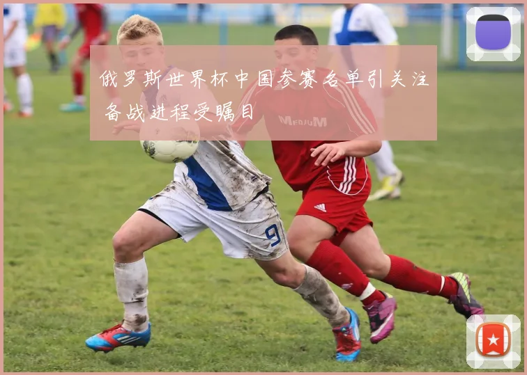 俄罗斯世界杯中国参赛名单引关注 备战进程受瞩目