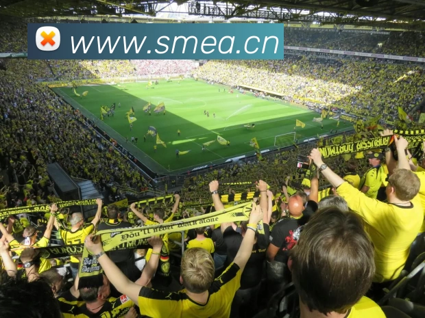 App Interface Preview